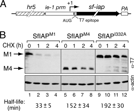 FIG. 10.