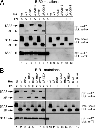 FIG. 8.