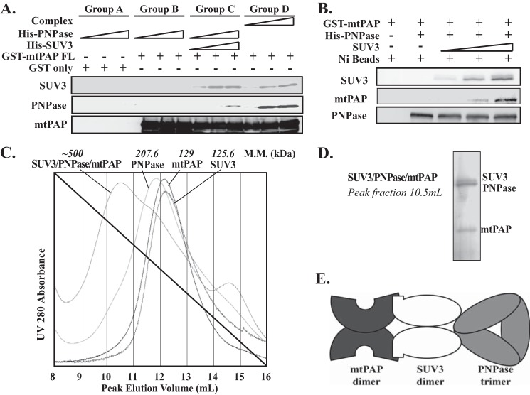 FIGURE 2.