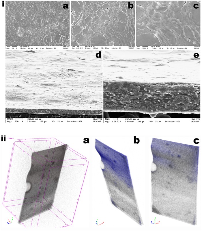 FIGURE 11