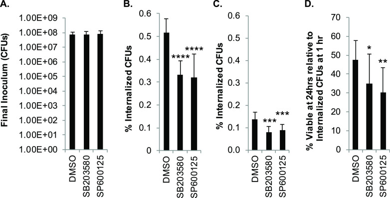 FIG 8