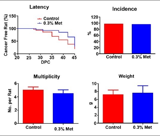 Supplementary Figure 3