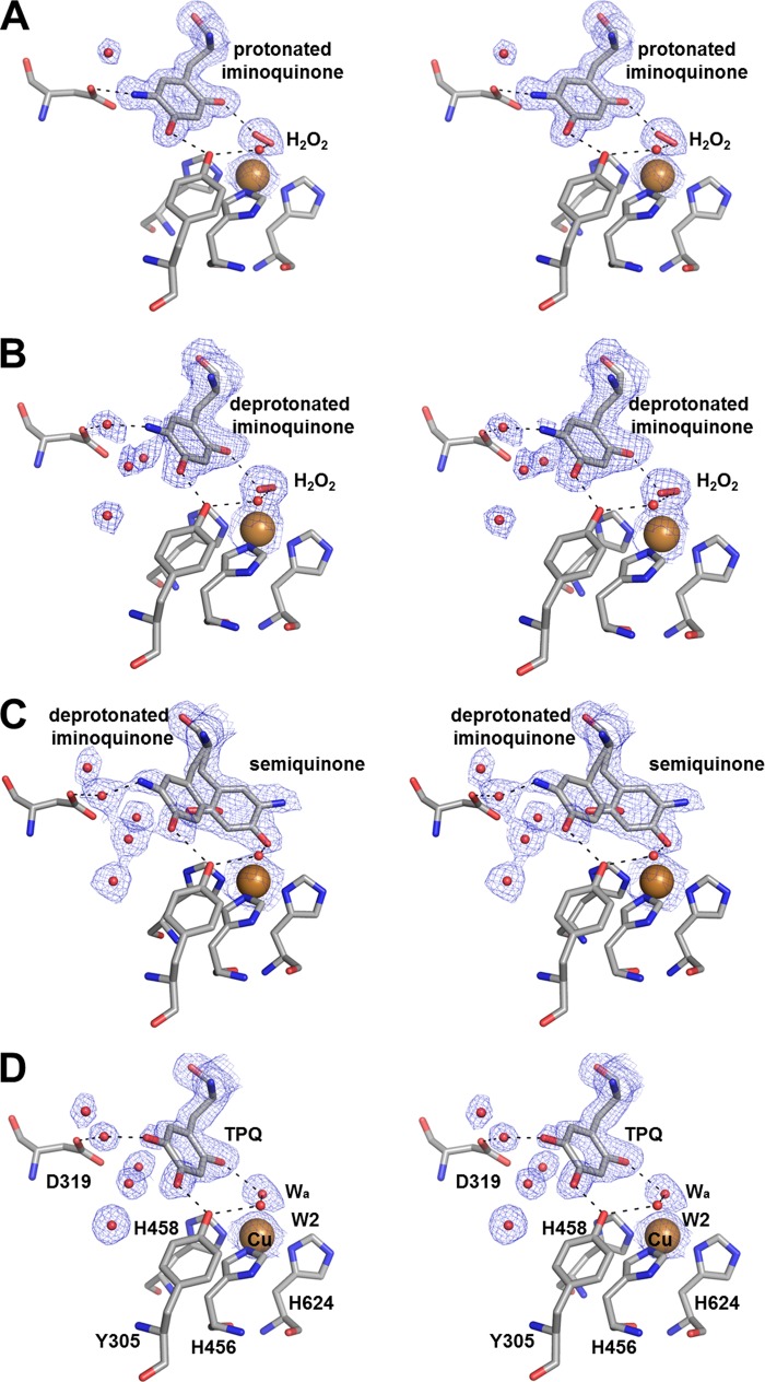 FIGURE 4.