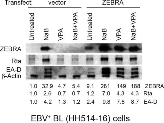 FIG 11