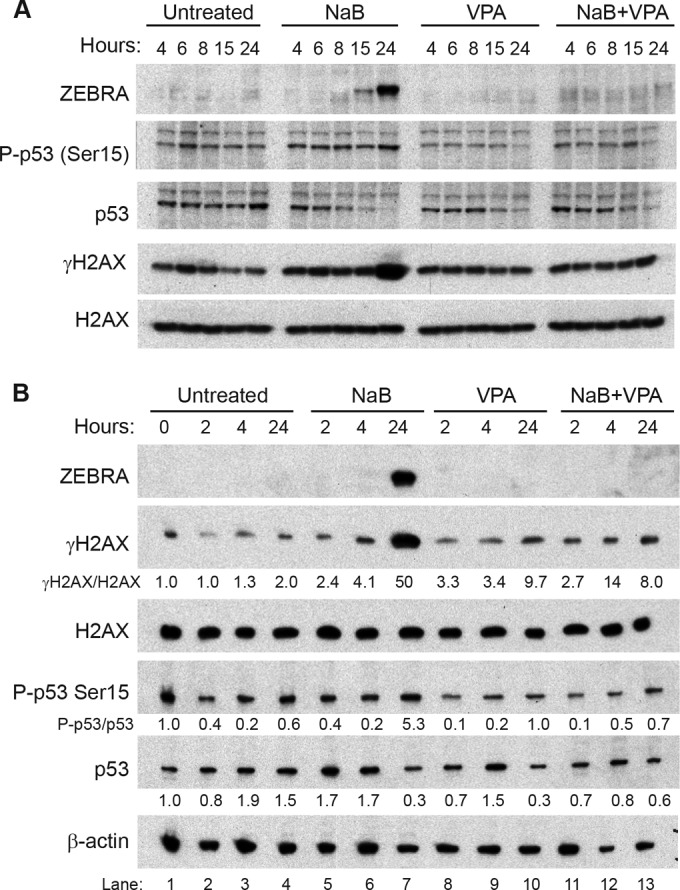 FIG 12