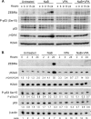 FIG 12