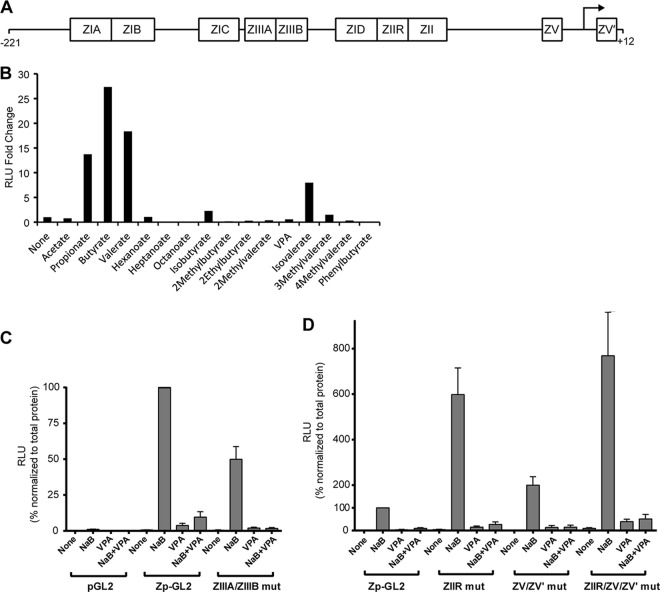 FIG 10