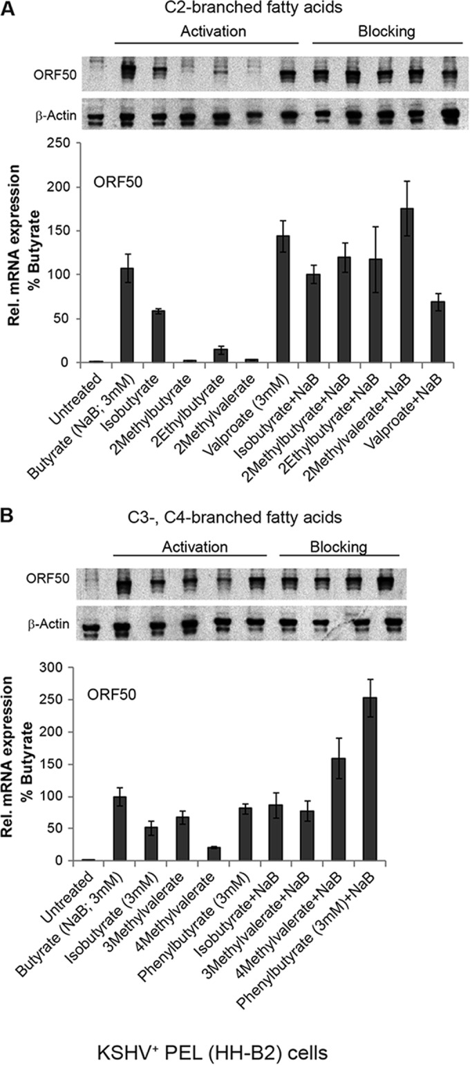 FIG 6