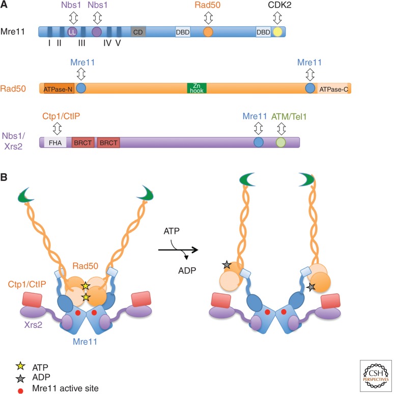 Figure 2.