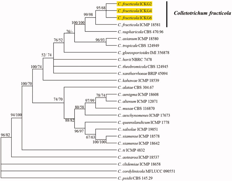 Figure 2.