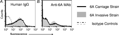 FIG. 2.