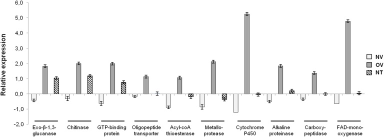 FIGURE 2