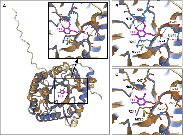 Figure 7.