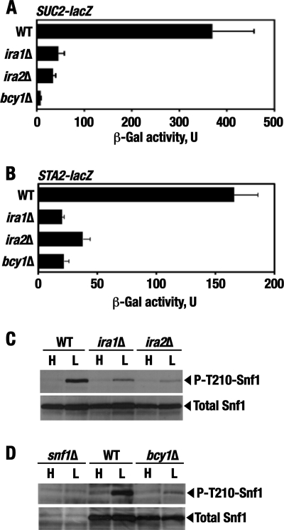 Fig 5