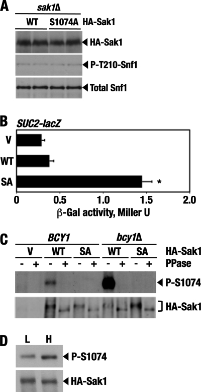 Fig 7