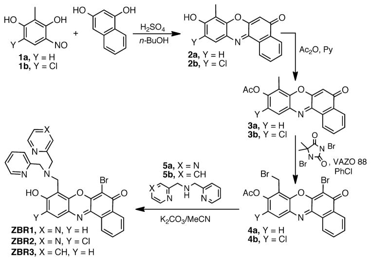 Scheme 1