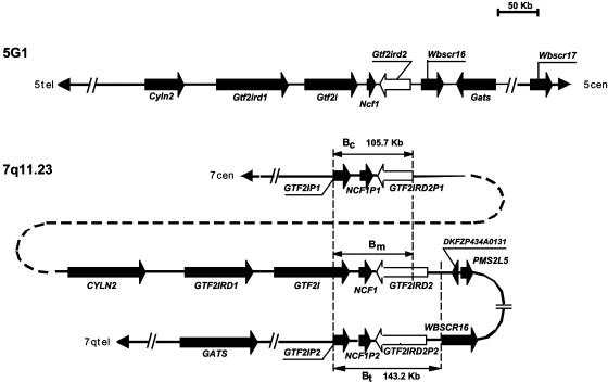 Fig. 3.