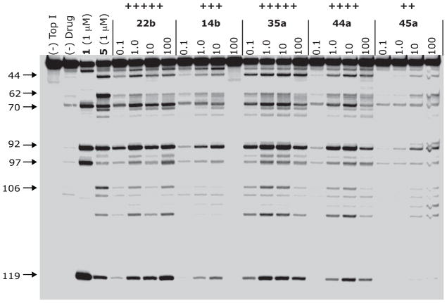 Figure 5