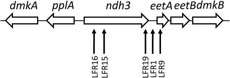 FIG 1