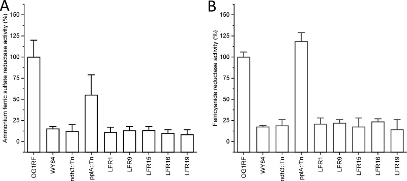 FIG 2