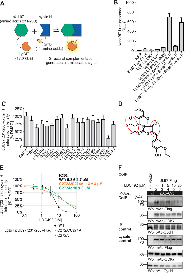 Fig 10