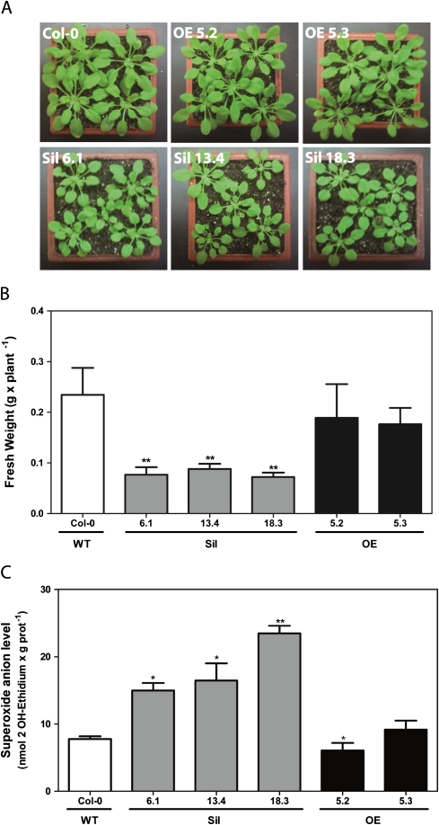 Fig. 4.