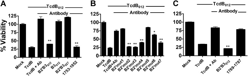 FIGURE 4.