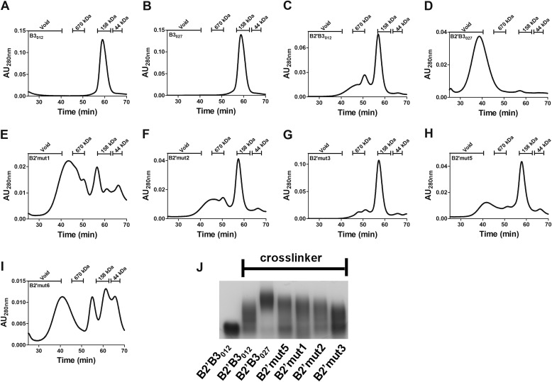 FIGURE 3.