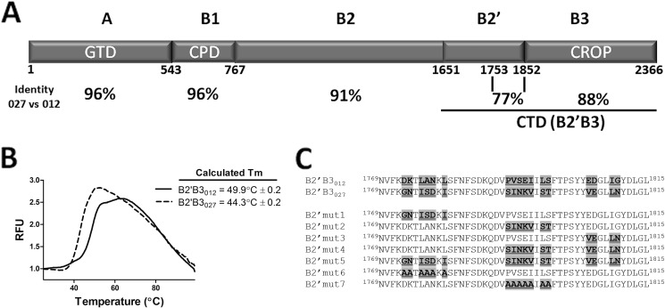 FIGURE 1.