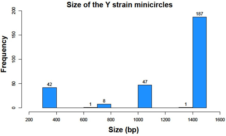 Figure 3