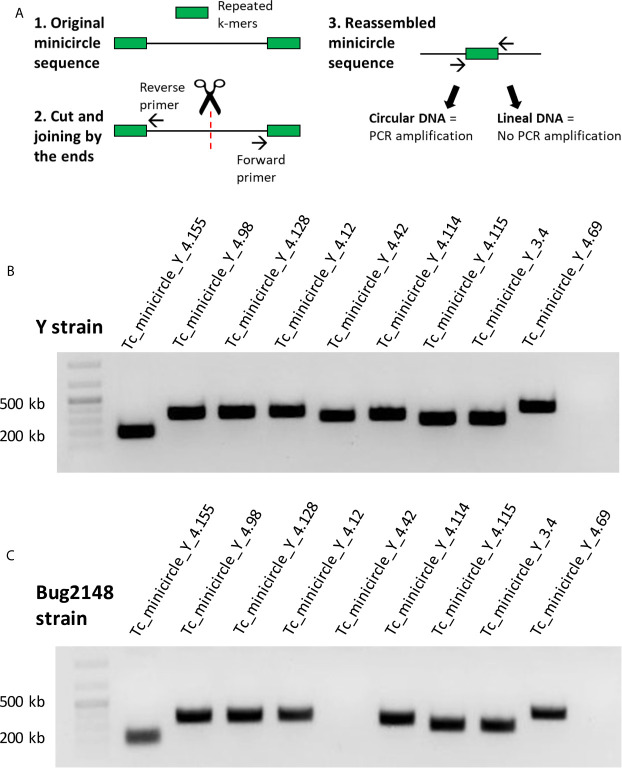 Figure 2