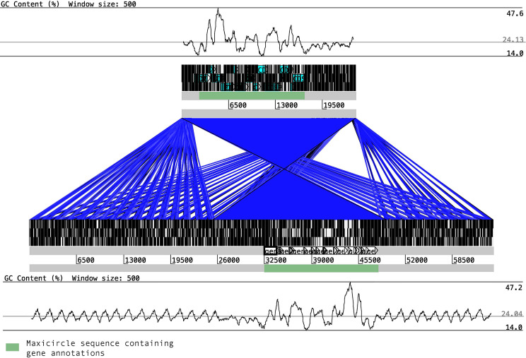 Figure 1