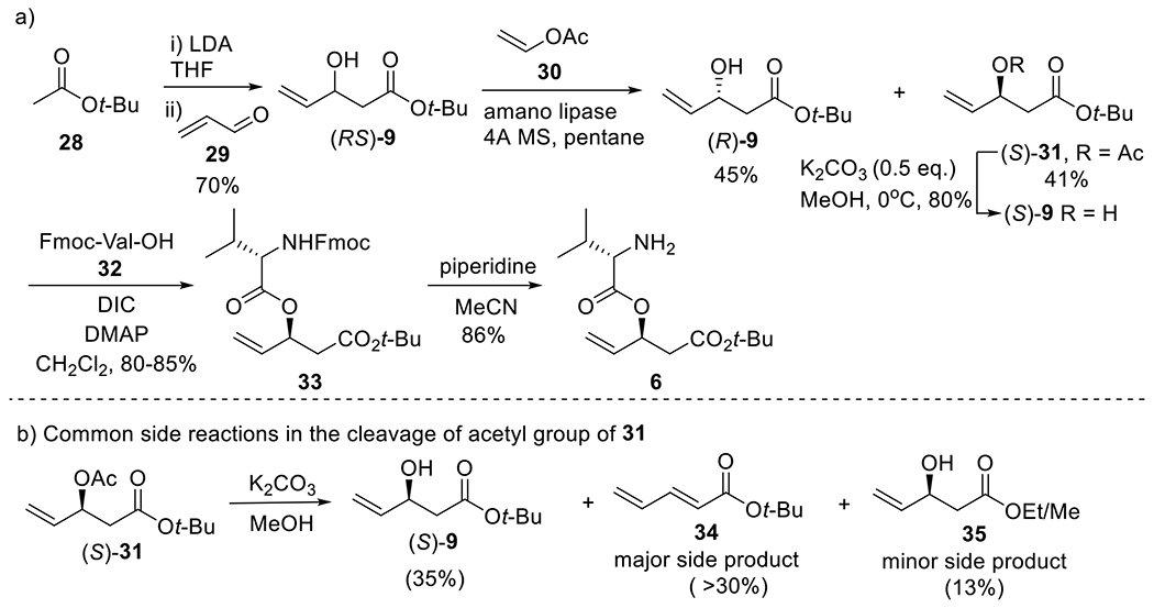 Scheme 4.