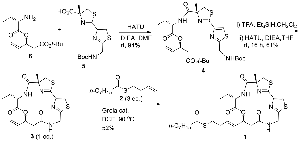 Scheme 5.