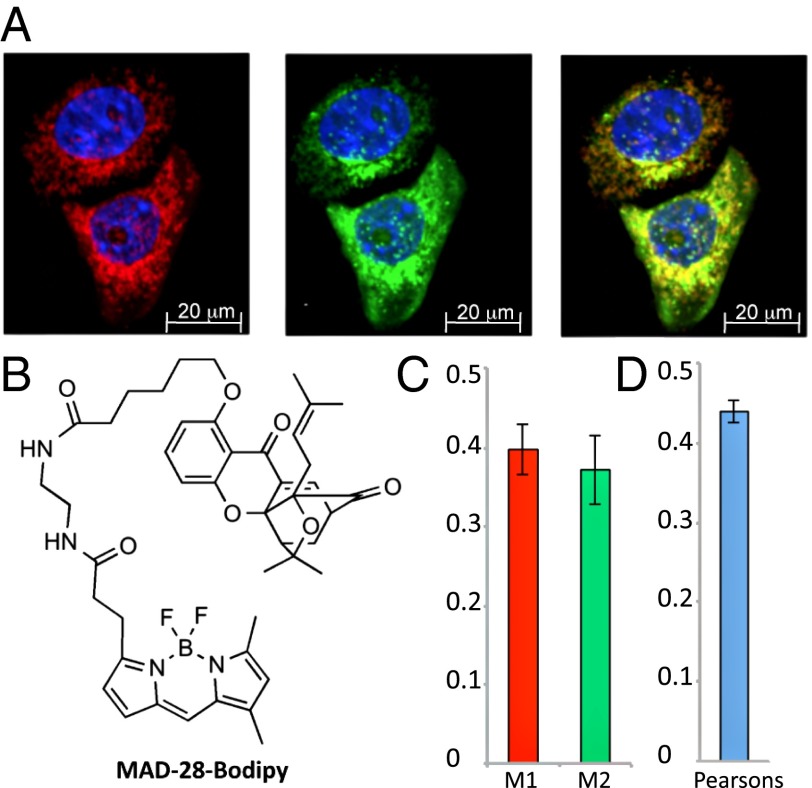 Fig. 2.