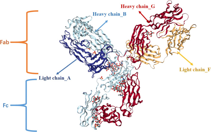 Fig. 2