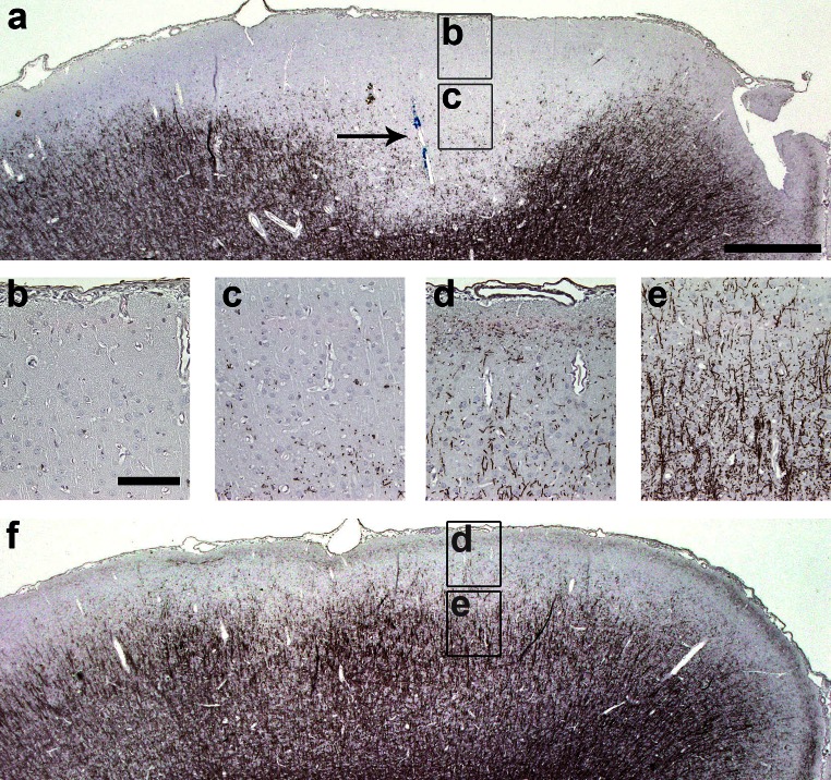 Fig. 6