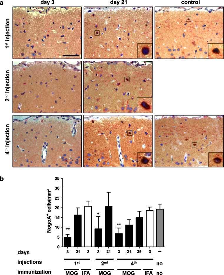 Fig. 7