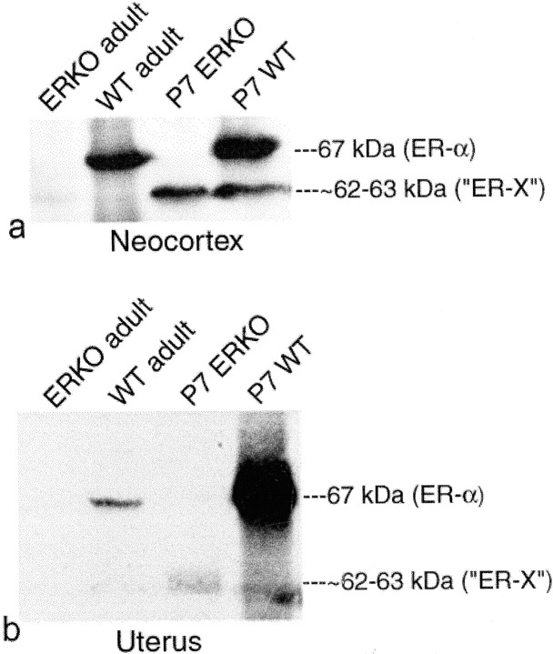 Fig. 9.