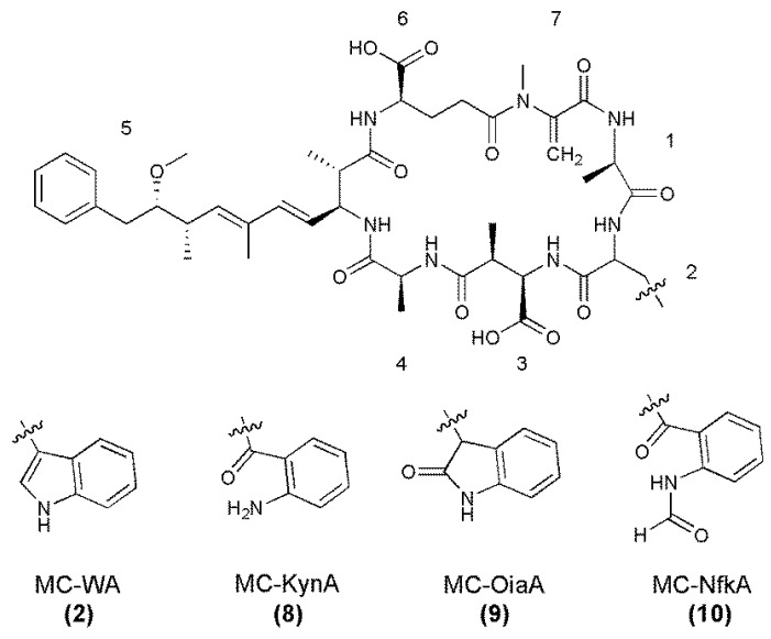 Figure 5