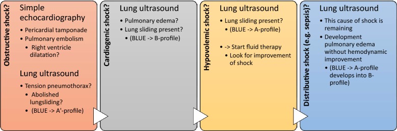 Fig. 6