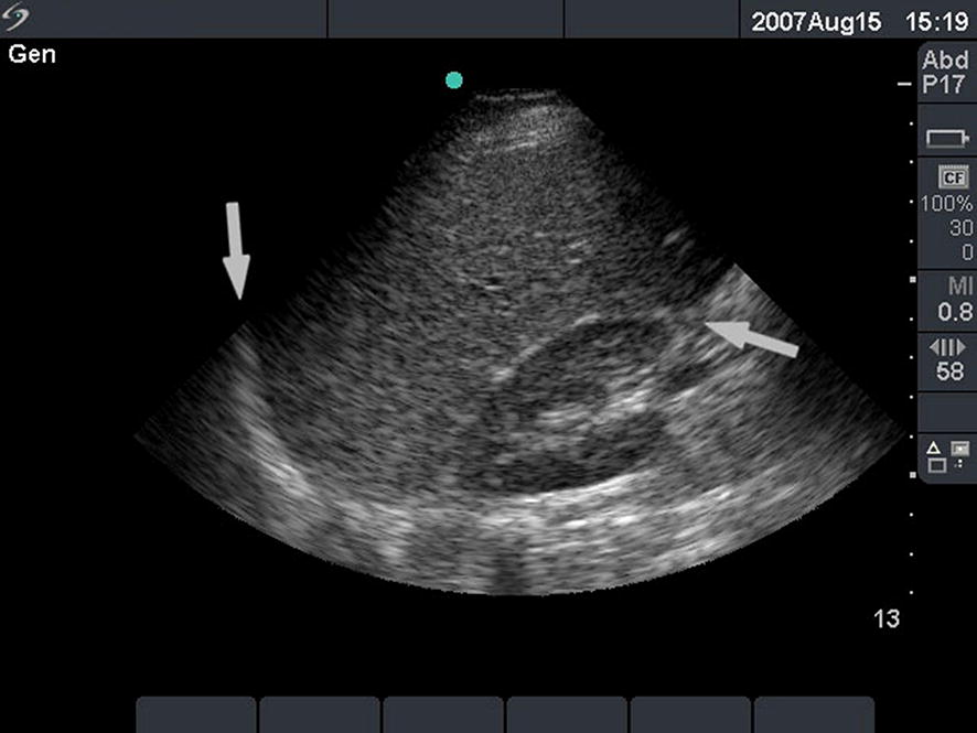 Fig. 7