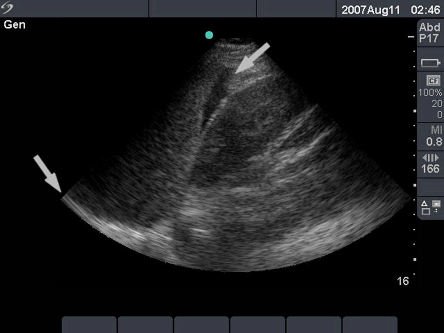 Fig. 8