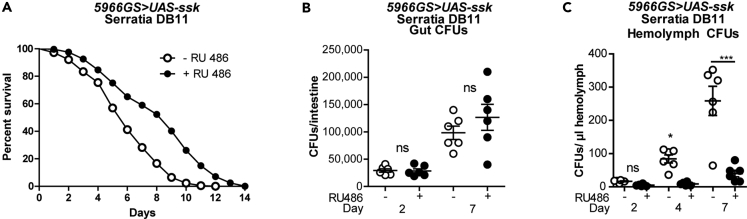 Figure 6