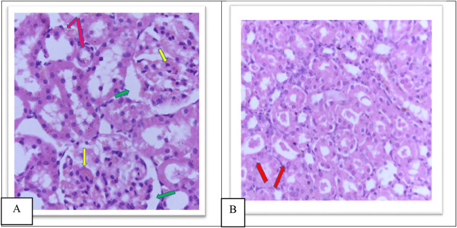 Figure 9. 