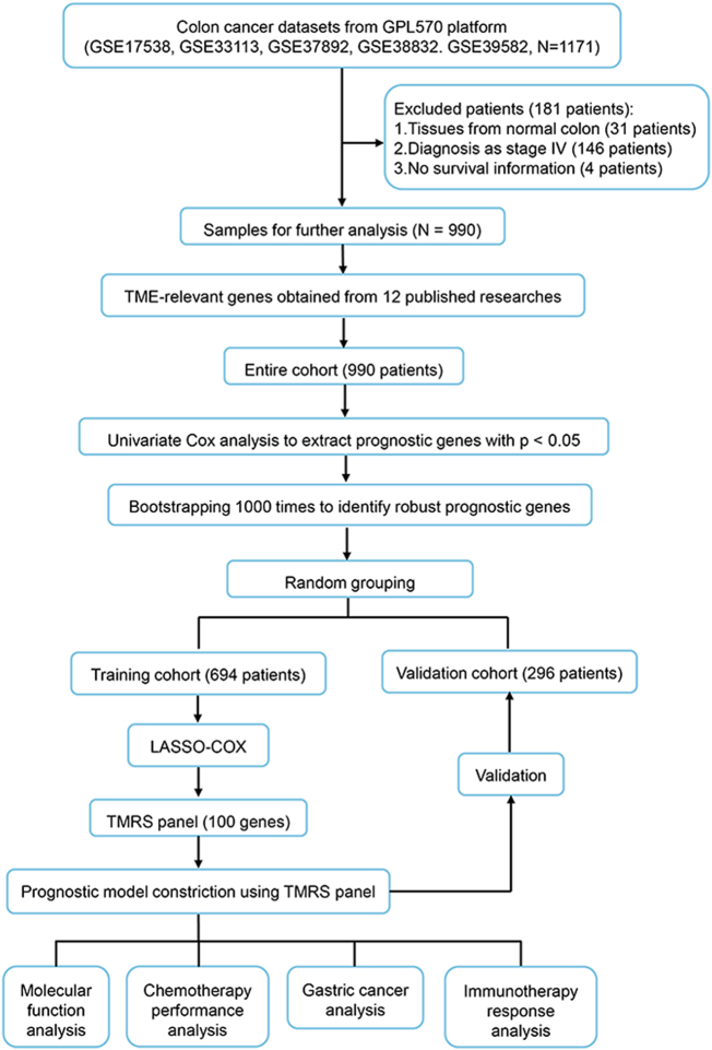 Supplementary Fig. S1