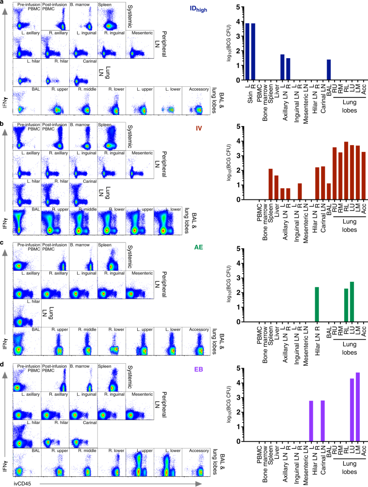 Extended Data Fig. 12