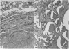 123