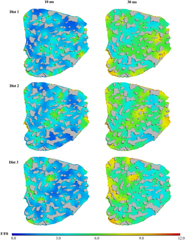 Fig 4