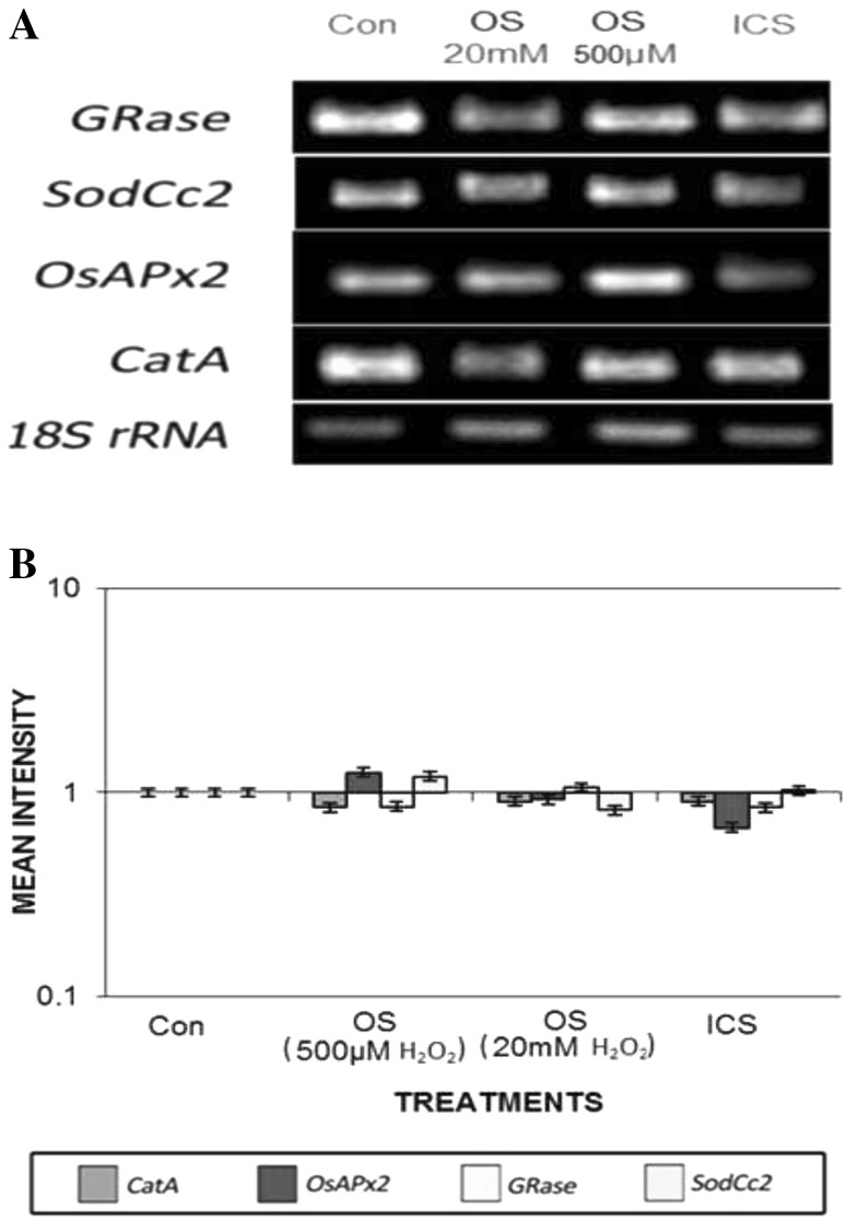 Fig. 8